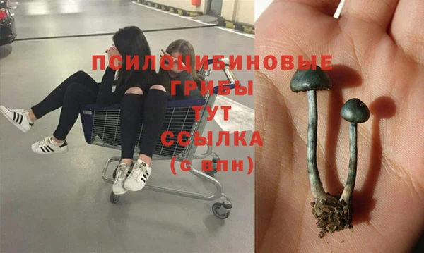 тгк Лабытнанги