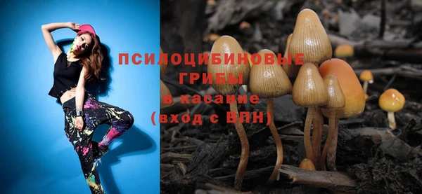 тгк Лабытнанги