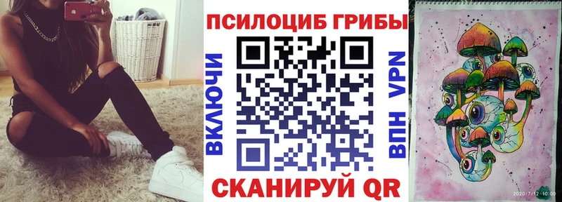 где можно купить   Лодейное Поле  blacksprut зеркало  Псилоцибиновые грибы Psilocybine cubensis 