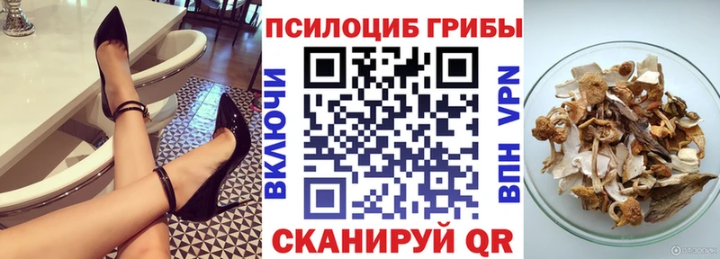 Псилоцибиновые грибы мухоморы Лодейное Поле
